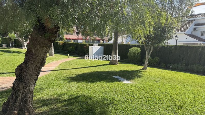 Foto 192b317e-5475-4b6c-8ecc-e556c8affea0. Planta baixa amb piscina a Nueva Andalucía centro Marbella