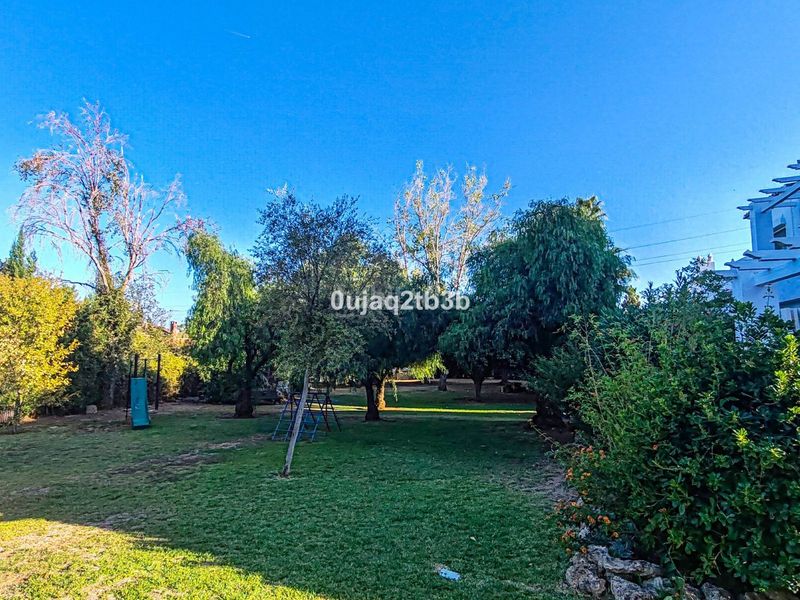 Foto ea431ec1-102b-467b-bbc9-d63d81dd6e8e. Planta baixa amb aparcament piscina a Nagüeles Alto Marbella
