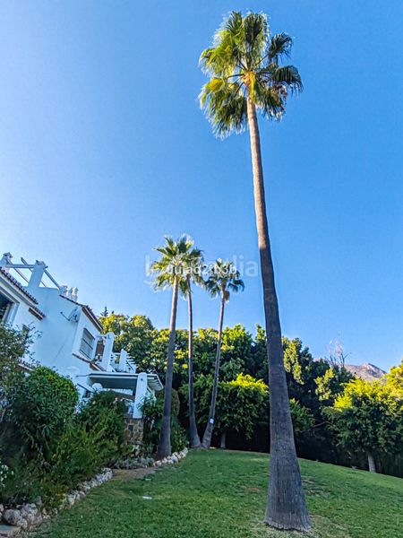 Foto f7e4bb4e-b0ac-4cff-9027-6ec9e742806b. Planta baixa amb aparcament piscina a Nagüeles Alto Marbella