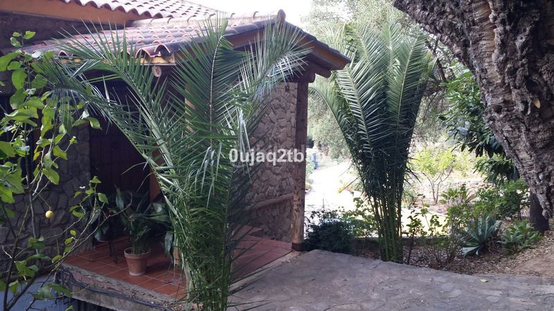 Foto 82de1684-c13c-4655-a7a4-96c1a1fb68ba. Masia amb aparcament piscina a Cortes de la Frontera