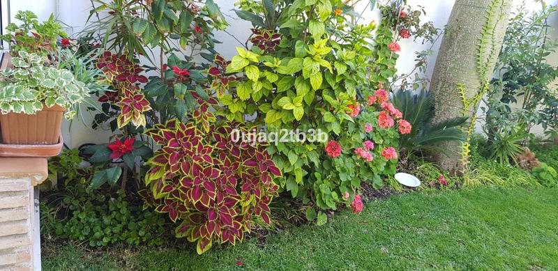 Foto 7fdb7172-771f-4ced-9daa-7c5783ae1469. Chalet mit parking pool in Los Llanos Estepona