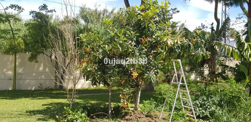 Foto e709564b-f56b-4038-ba5a-4611d3995579. Chalet mit parking pool in Los Llanos Estepona