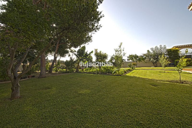 Foto aaab6c78-79e4-456e-b1e8-9565b010d9f4. Xalet amb aparcament piscina a Los Llanos Estepona