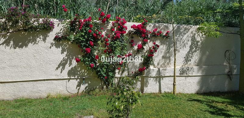 Foto d8011382-2761-45aa-aa8f-6c864a9c0fcb. Xalet amb aparcament piscina a Los Llanos Estepona
