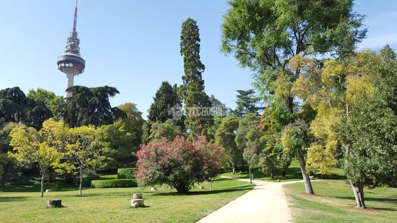 Foto 85e4bd03-fd5f-418f-a90e-0f2f2848669e. Pis a Fuente del Berro Madrid
