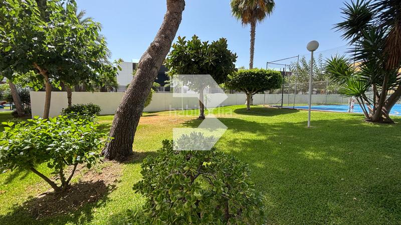 Foto 0f69eed2-2702-469c-9607-fa13c4b9fced. Appartamento con parcheggio piscina in Playa Muchavista Campello (el)