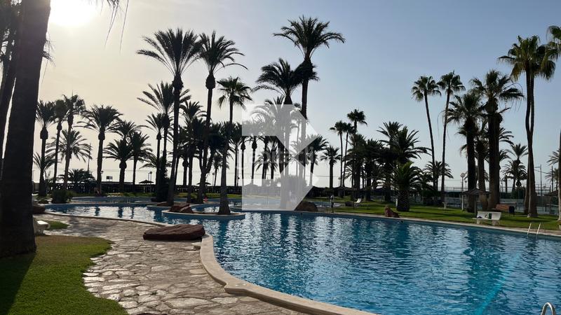 Foto 1bc172ee-0044-4442-afc8-86f01f9d5a55. Appartamento con riscaldamento parcheggio piscina in Campello (el)