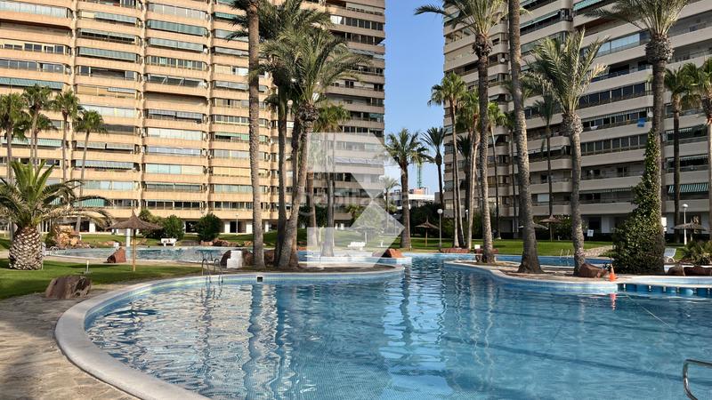 Foto a95a26b4-971b-4aa5-9a39-598b7c46ec1a. Appartamento con riscaldamento parcheggio piscina in Campello (el)