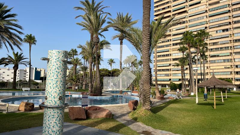 Foto c932a2c4-2b2f-445a-a1b0-70ccac6f6701. Appartement avec chauffage parking piscine dans Playa Muchavista Campello (el)
