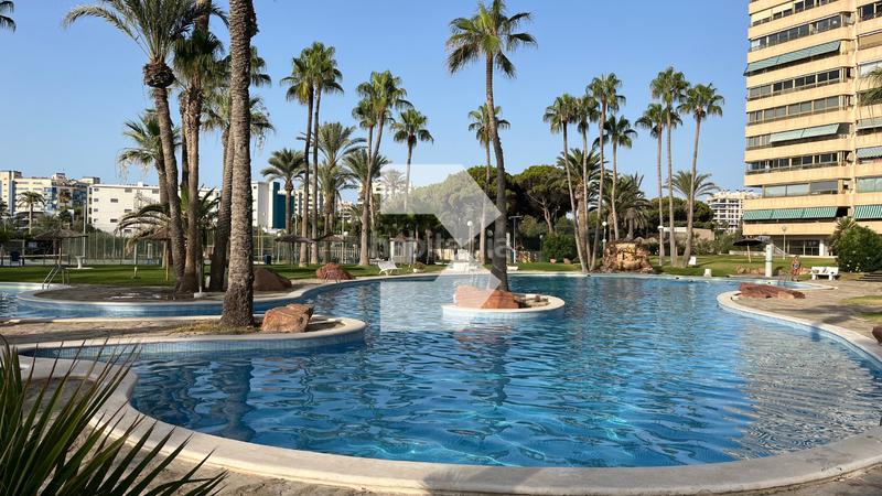 Foto e732d385-2d6d-41dd-a870-bb6d247da989. Pis amb calefacció aparcament piscina a Playa Muchavista Campello (el)