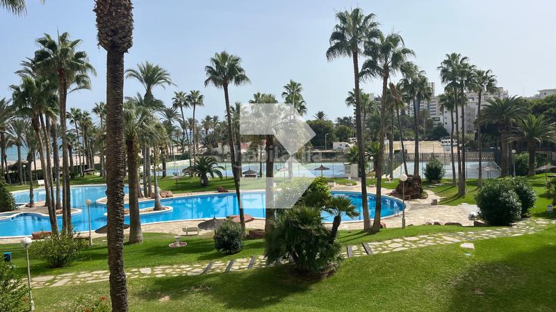 Foto b2700b9d-d86d-4370-bc4c-d2be10076fd4. Piso en Playa Muchavista Campello (el)