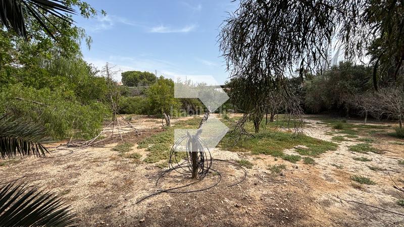 Foto 244b5ffb-930d-489e-bd5c-fdb1f410bb26. Chalet with parking pool in Centro Mutxamel