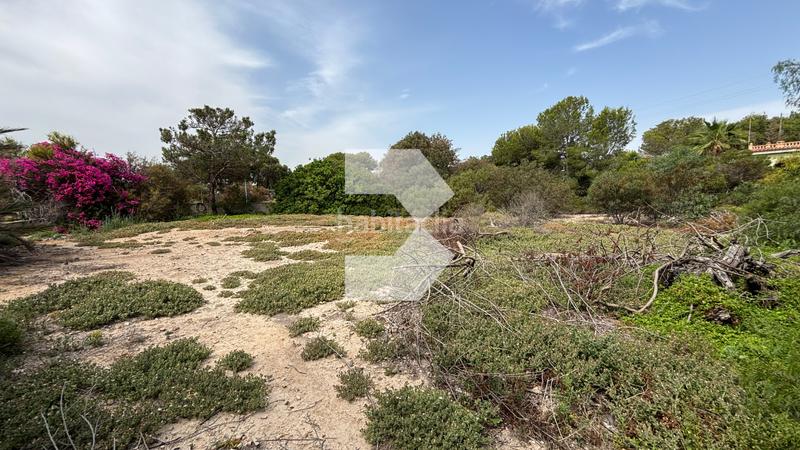 Foto 5820fb9e-9021-45d7-b0cd-3263674f7810. Chalet with parking pool in Centro Mutxamel