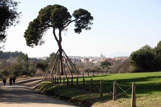 Terreno residencial en Golf-Can Trabal. Terrenos en venta en sant cugat del vallès