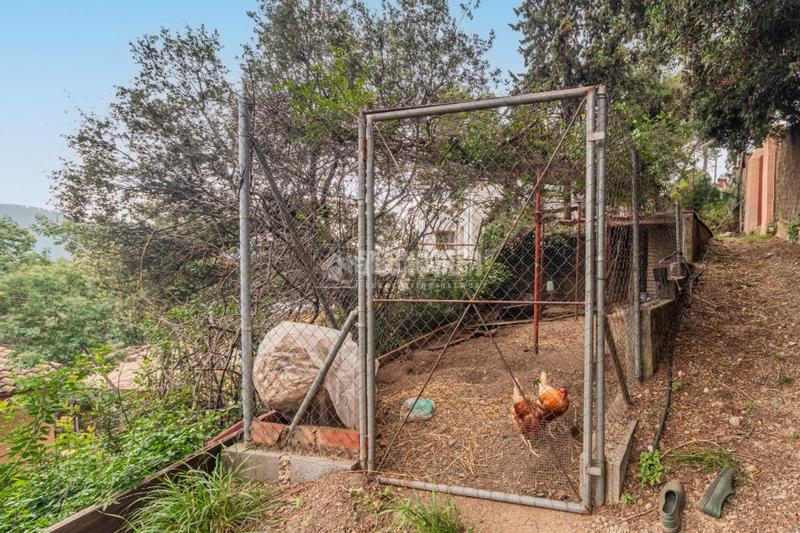 Foto ef1f1fbb-5840-49b6-84f8-b8217f728586. Affitto casa in Molins de Rei