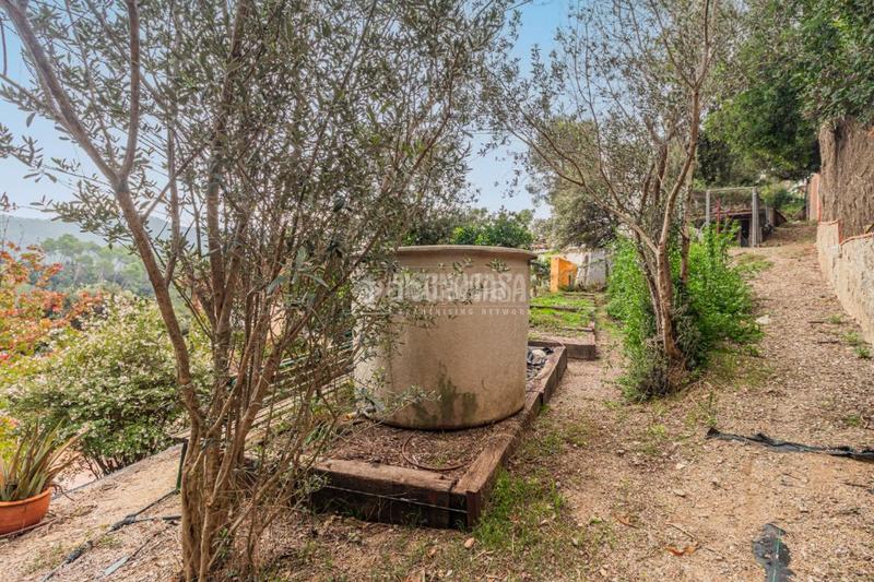 Foto 5e019c07-ab12-404c-8dae-20698cadd348. Rent house in Molins de Rei