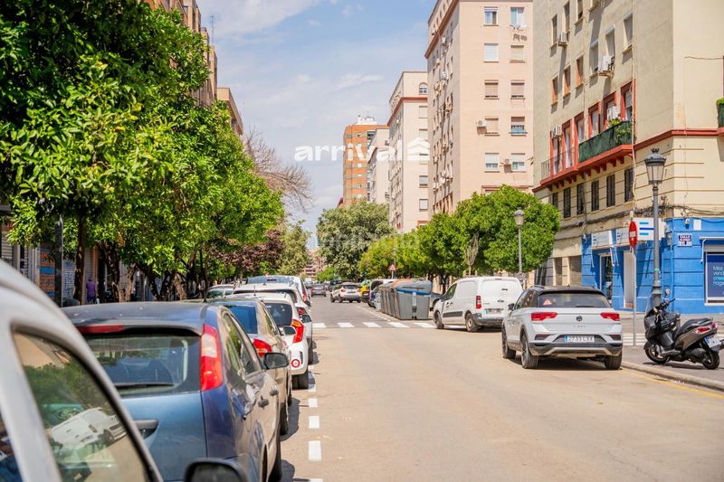 Foto c86d1469-8408-4521-83bc-3ea3d78d1f98. Pis a L´Illa Perduda Valencia