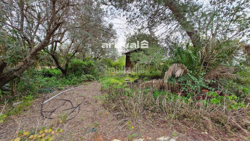 Foto 714fbe53-4e6b-4de6-b37a-6574a8ad30c0. Xalet amb piscina a Polígono del Aeropuerto Manises