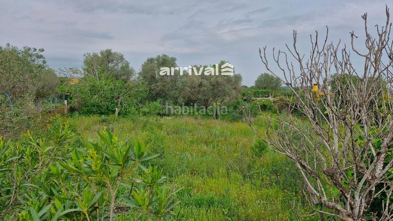 Foto 932cc7b5-1b10-4b6a-83f7-22e69c97c22a. Xalet amb piscina a Polígono del Aeropuerto Manises