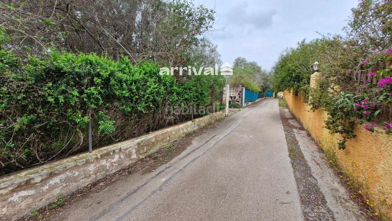 Foto dbe305fb-ea53-4dcf-ad07-c0c7abf2f549. Xalet amb piscina a Polígono del Aeropuerto Manises