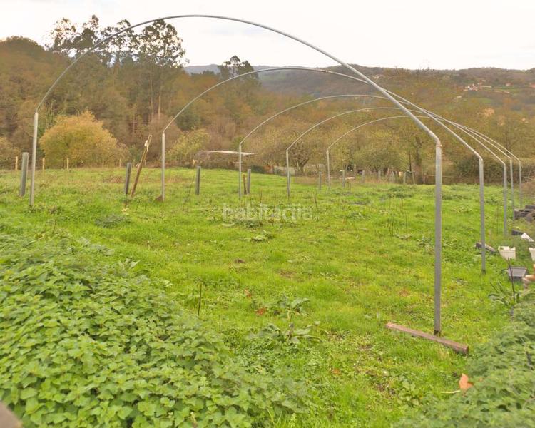 Foto 5c85c3db-437b-411c-8623-7db3f03f2c85. Casa a Sama Langreo