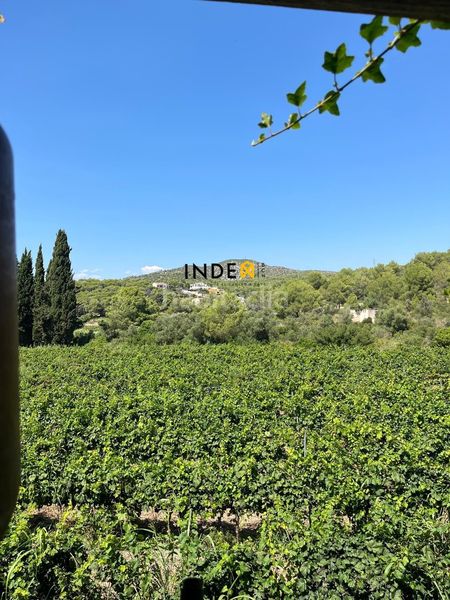 Foto 03f32a07-2e28-4901-9d11-97556932eada. Casa amb calefacció a Mas Trader-Corral d´En Tort-Corral d´En Cona Cubelles