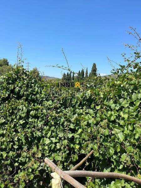 Foto bf5ddd31-f3f7-40af-b3ef-af9eef23661a. Casa amb calefacció a Mas Trader-Corral d´En Tort-Corral d´En Cona Cubelles