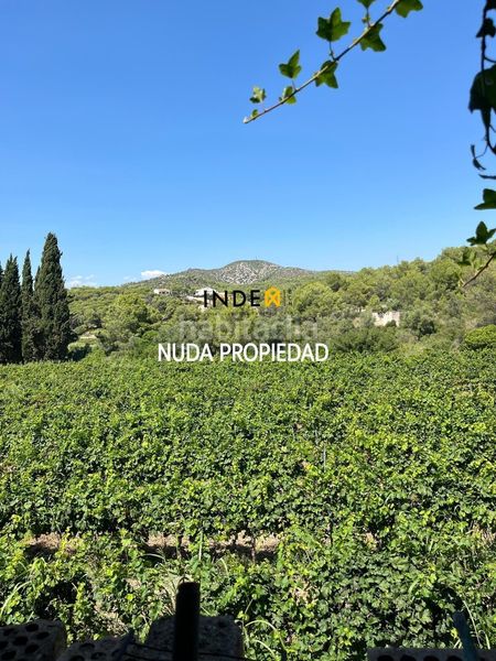 Foto ce50a44d-99f9-4584-a2c6-ef81d67c6744. Casa amb calefacció a Mas Trader-Corral d´En Tort-Corral d´En Cona Cubelles