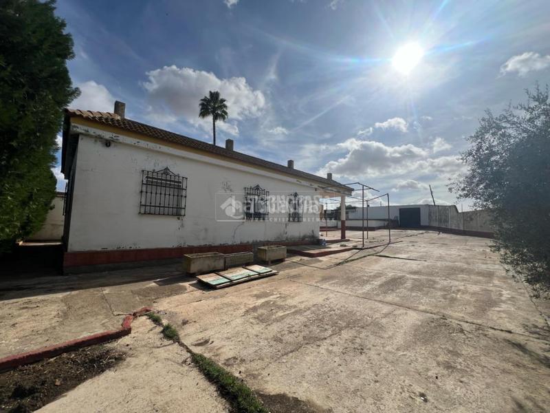 Foto 3692df35-291a-4d6e-adb0-c3cd3820c613. Casale in Centro - Doña Mercedes Dos Hermanas