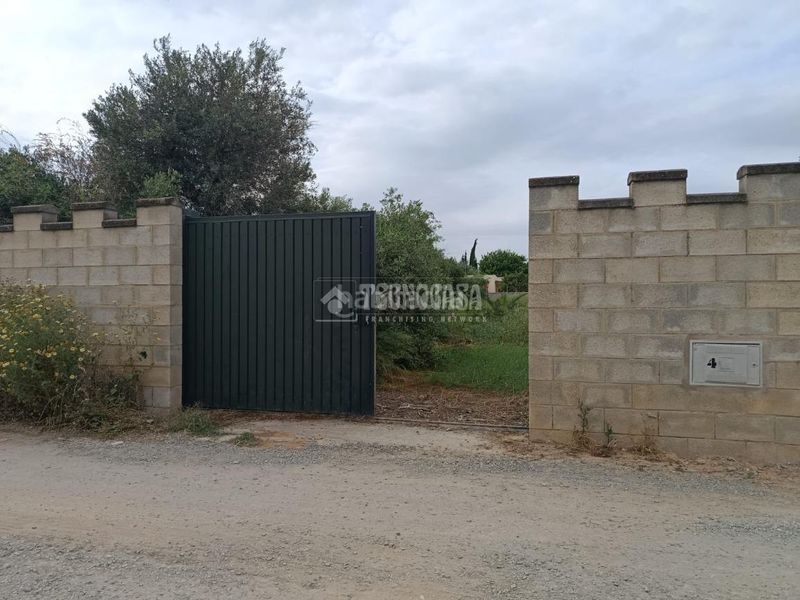 Foto 418ea5f8-43e4-4d3c-8cc5-423956aa1bae. Finca rústica a El Arenal - La Pólvora Dos Hermanas