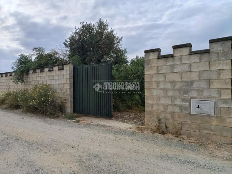 Foto 41ed04c6-3226-44c6-a868-e399b02bf67c. Finca rústica a El Arenal - La Pólvora Dos Hermanas
