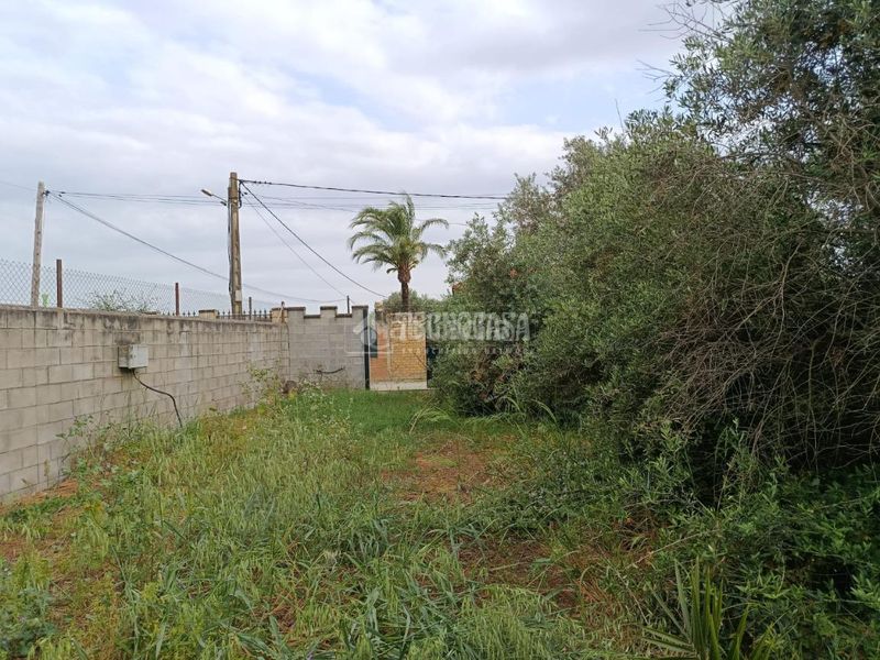 Foto 5e5e18bd-e41c-4a1c-b810-b3fac74257b7. Finca rústica a El Arenal - La Pólvora Dos Hermanas