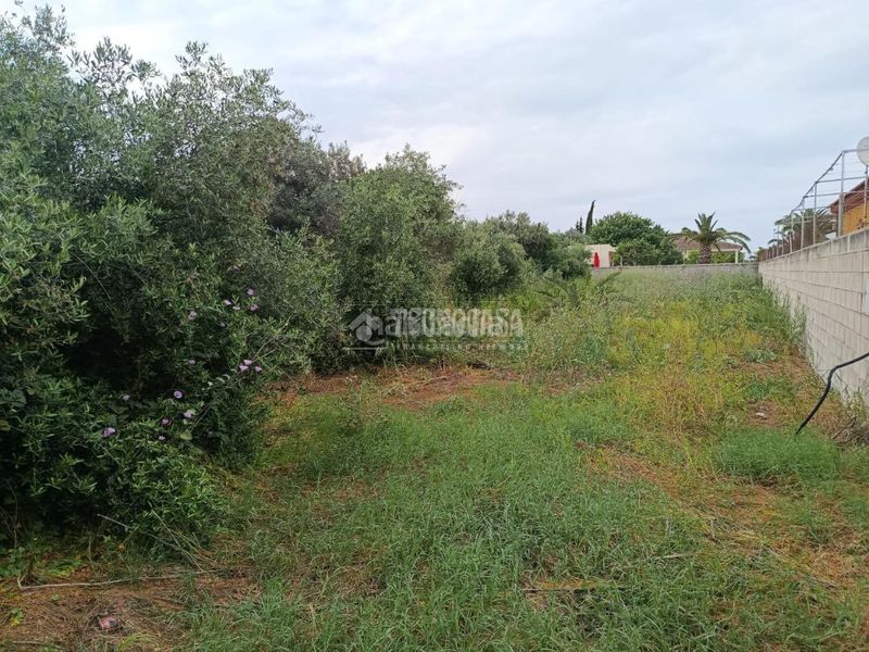 Foto d9a9dca3-6d83-4984-aaa0-dddcbea198e9. Finca rústica a El Arenal - La Pólvora Dos Hermanas