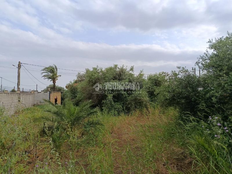 Foto f9d9fda3-1b0a-49a7-a7e7-1dd5cd8e3c1c. Finca rústica a El Arenal - La Pólvora Dos Hermanas