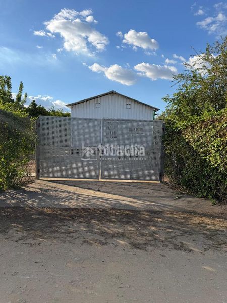 Foto d1bc9df8-63bf-4050-a879-7da8d1e7db7d. Finca rústica a La Hacienda - Nueva Andalucía Dos Hermanas