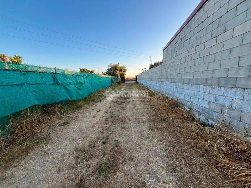 Foto c0181417-6272-4036-82d7-64cd51aab95d. Masia a Coria del Río