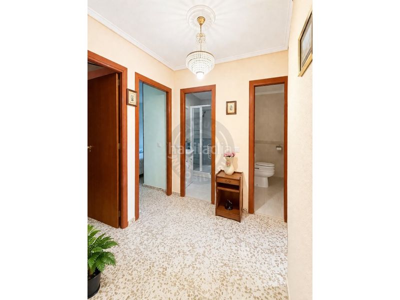 Foto d5320dbe-fc87-4ff1-a2f9-67cbb1fc8e26. Pis a Centro Cáceres