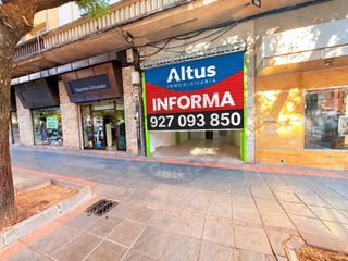 Local Comercial en Avenida Alemania
