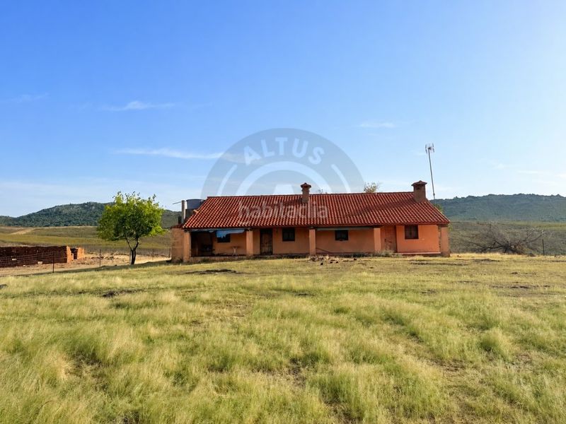 Foto 1073b9d0-83cb-4ef5-abb5-0d616c4ed6d9. Masia a Deleitosa