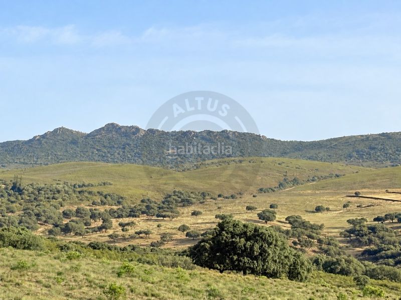 Foto 517d446c-6704-4fbe-945f-2eafee3aa636. Masia a Deleitosa