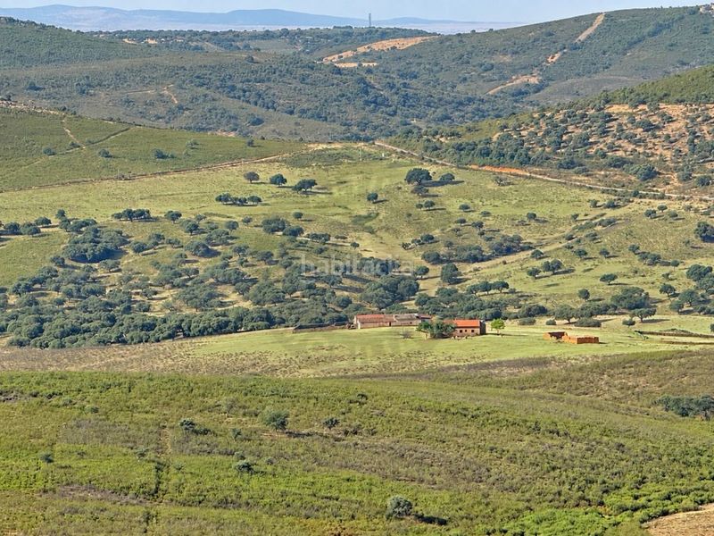 Foto efe51365-f5fa-42f6-bdb4-9108c44c5b11. Masia a Deleitosa