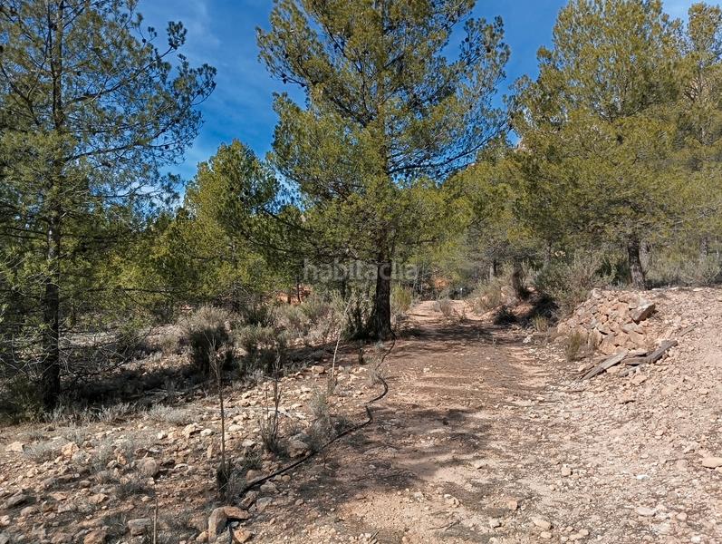 Foto 9f3126c9-50d4-4732-bd95-c62b607b5e1b. Landgut in Pedanías - Extrarradio Albacete