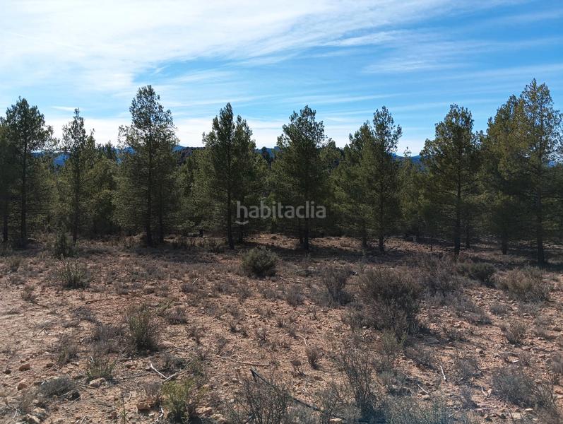 Foto d43480a2-eda4-404d-93b4-ac22d8cd6846. Landgut in Pedanías - Extrarradio Albacete