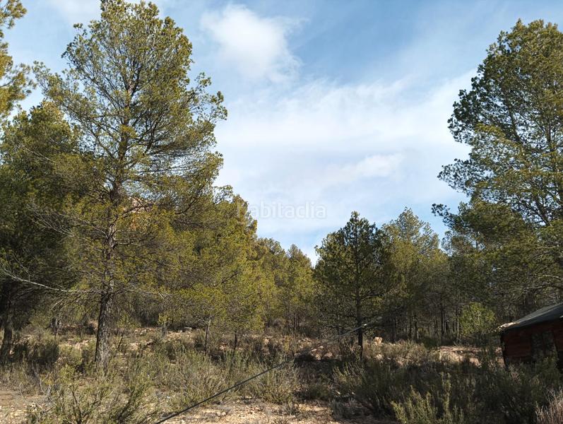 Foto fd33649f-af26-4f79-86f8-885f746478f1. Landgut in Pedanías - Extrarradio Albacete