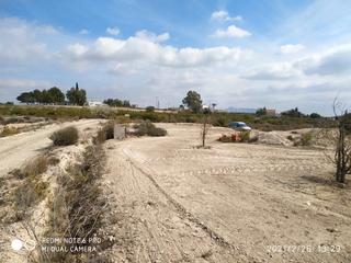 Finca rústica a Fátima - El Panderón. Terreno agricola en fortuna