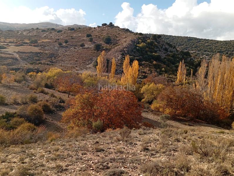 Foto b6a800fa-0503-463b-a716-a58cd6ad89ba. Finca rústica a calle diseminados 261 a Nerpio