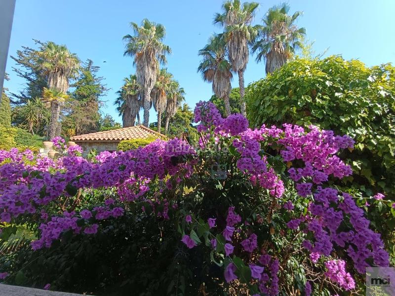 Foto ab85550a-379f-4911-89f2-619d16b7e19e. Terreny residencial a Alella
