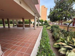 Pis  Calle montserrat roig. Piso de 3 dormitorios totalmente exterior en la zona de rosaleda