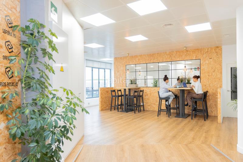 Foto 9ca9dafe-46e8-4d7a-b526-fc37e9e5218e. Lloguer oficina a calle del limonero 22 a Castillejos-Cuzco Madrid