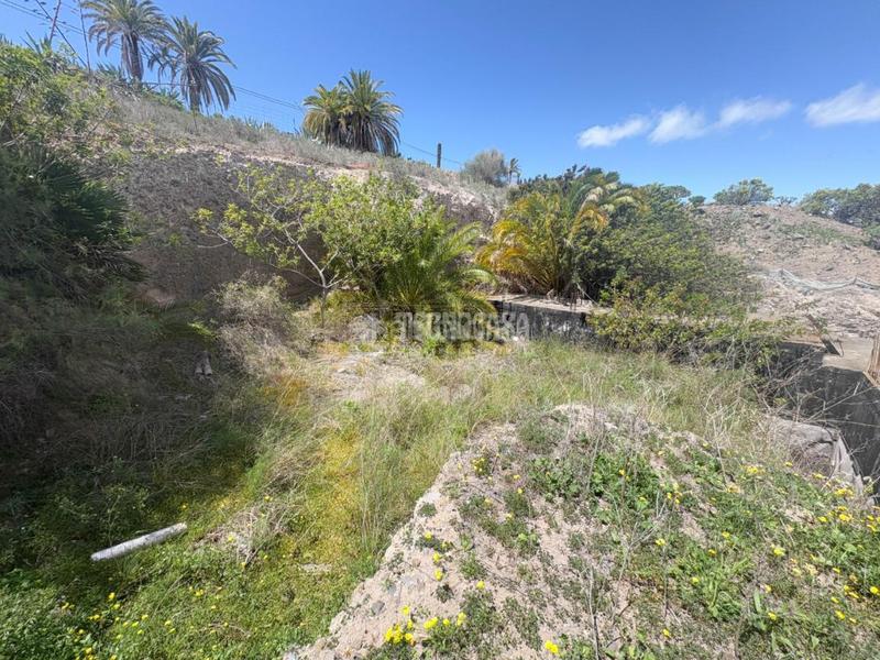 Foto 3cf1d7a0-5450-4f73-b634-5382b5b55623. Wohngrundstück in Almatriche Palmas de Gran Canaria (Las)